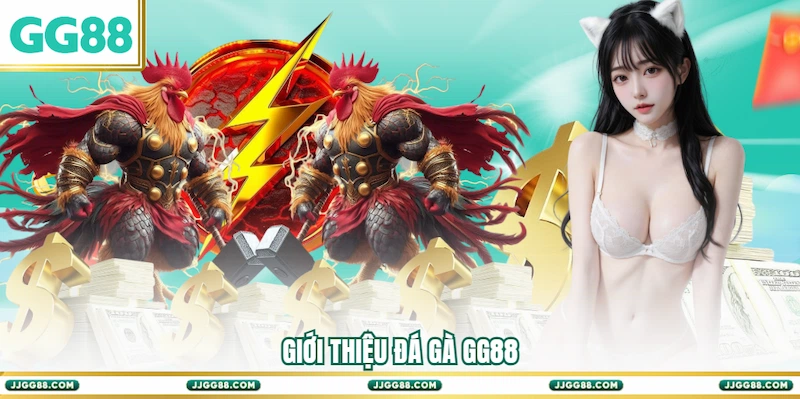 Giới thiệu Đá gà GG88