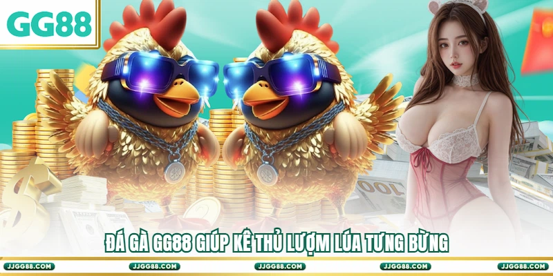Đá gà GG88 giúp kê thủ lượm lúa tưng bừng