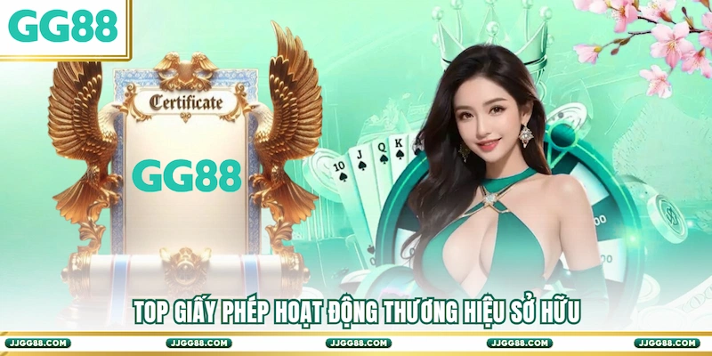 Top Giấy phép hoạt động thương hiệu sở hữu